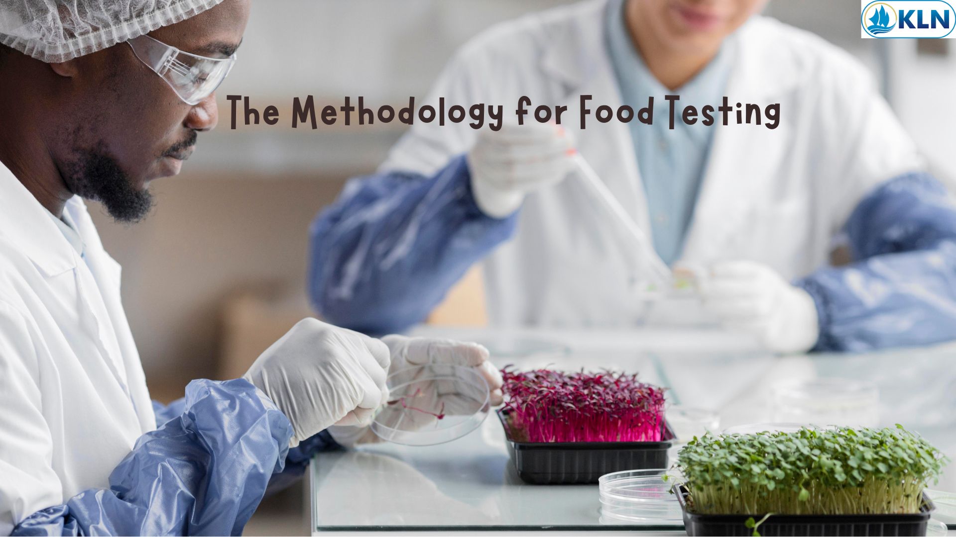 The Methodology for Food Testing
